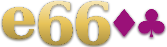 e6600 logo